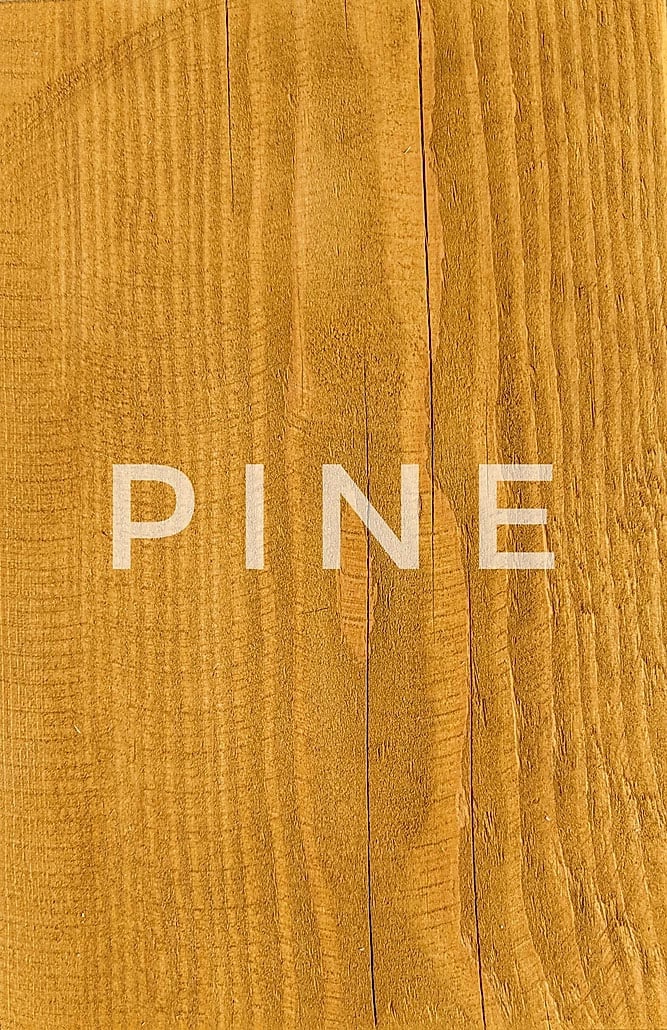 Pine Swatch