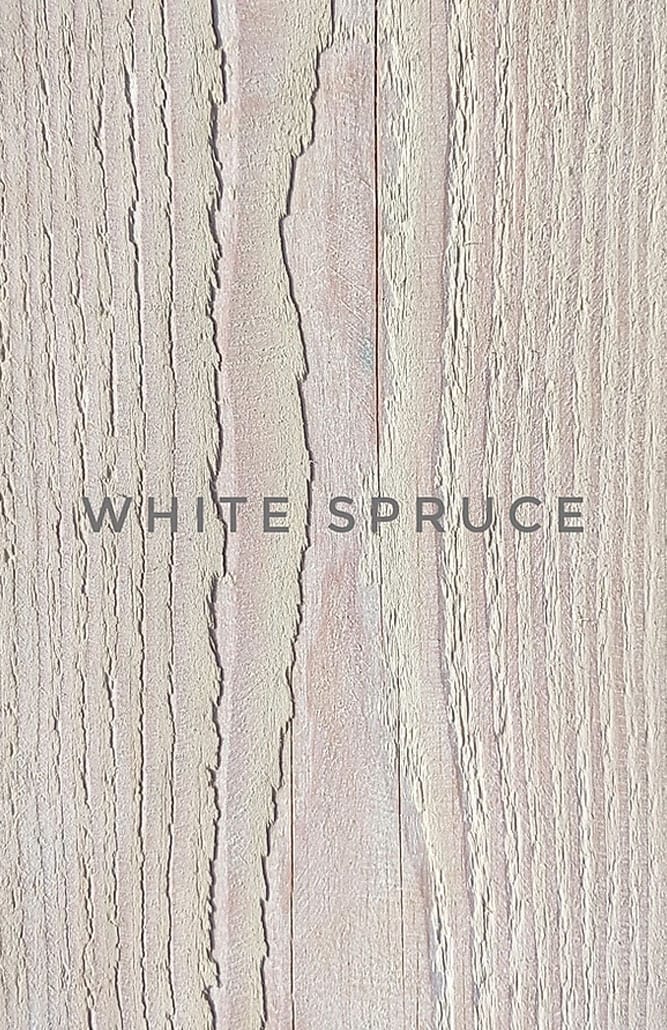White Spruce Swatch